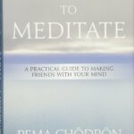 How to Meditate: A Practical Guide to Making Friends with Your Mind by Ani Pema Chödrön