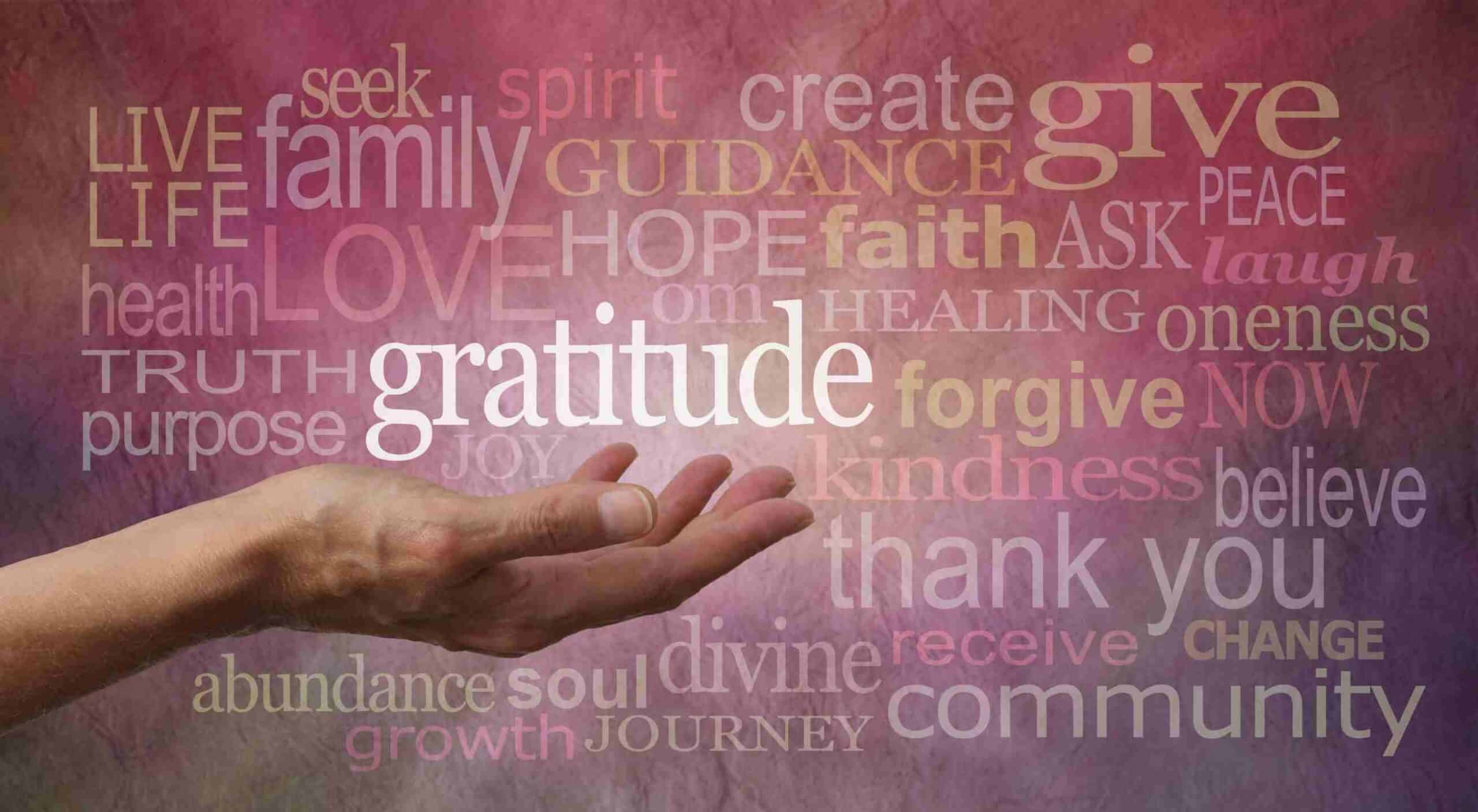 Experiencing gratitude in meditation is important