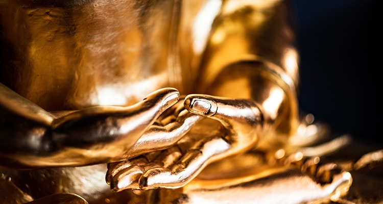 Dharma means truth, but also phenomena or norm, the reality of the way things are