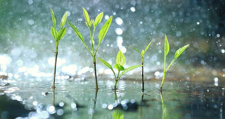 Gong meditation benefits