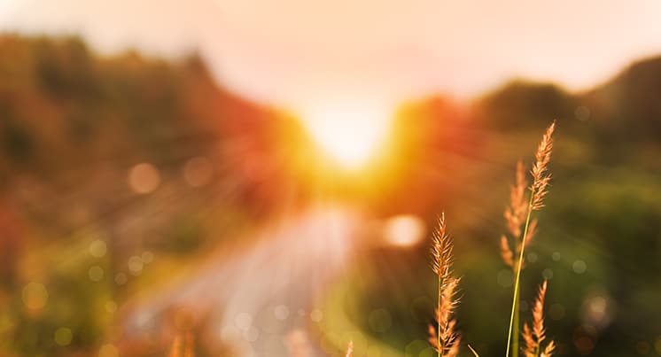 Guided meditation creates health for the mind and body