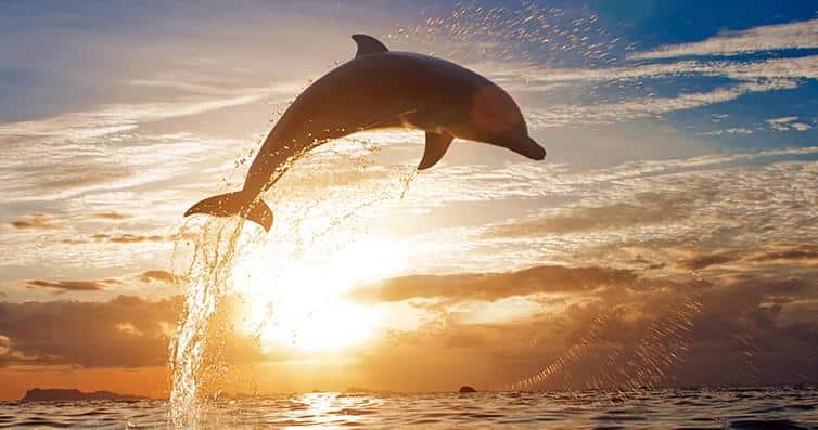 can you swim and meditate?