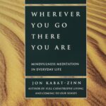 Wherever You Go, There You Are by Jon Kabat-Zinn